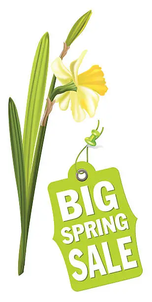 Vector illustration of Daffodils Spring Sale Tags Sign