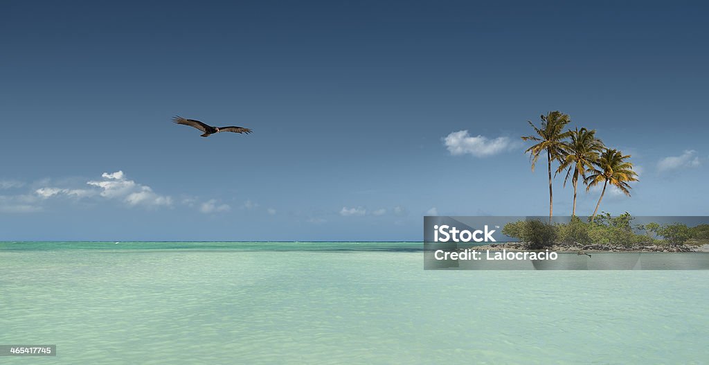 La playa - Foto de stock de Isla libre de derechos