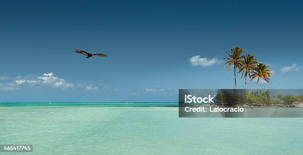 La Playa Foto de stock y más banco de imágenes de Isla - Isla, República Dominicana, Agua