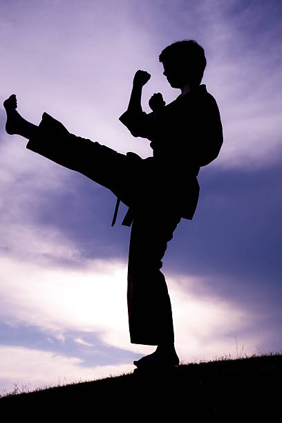 istock Woman in silhouette practicing martial arts, karate. Sunset. Outdoors. Sky. 465417801