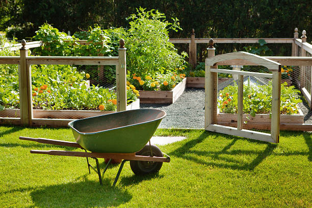 スプリングホーム庭園、花と野菜が、フェンス手押し車 - fence formal garden gardening ornamental garden ストックフォトと画像