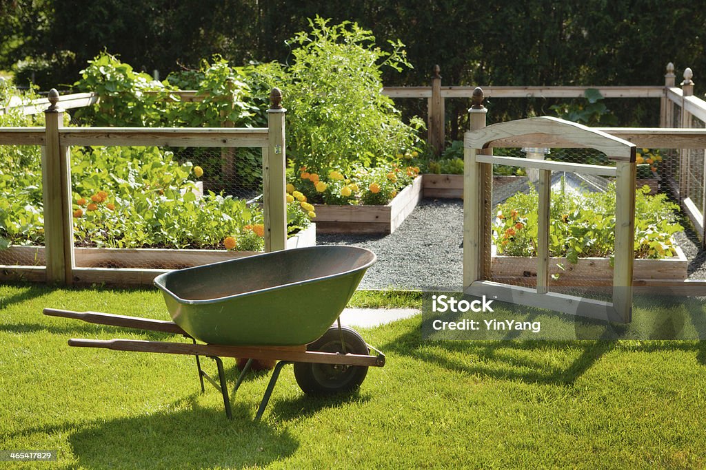 Spring Home Garden with Flowers and Vegetables Featuring Wheelbarrow, Fence A home grown vegetable and flower garden in late afternoon. Vegetable Garden Stock Photo