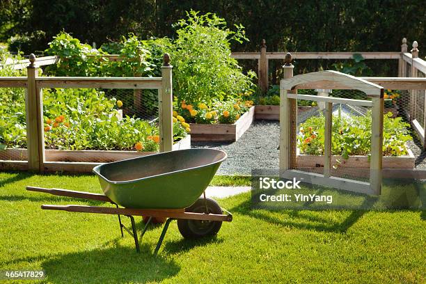 Spring Home Garden With Flowers And Vegetables Featuring Wheelbarrow Fence Stock Photo - Download Image Now