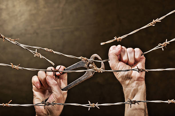 hands with barbed wire taken under studio light with electronic flash rusty barbed wire stock pictures, royalty-free photos & images