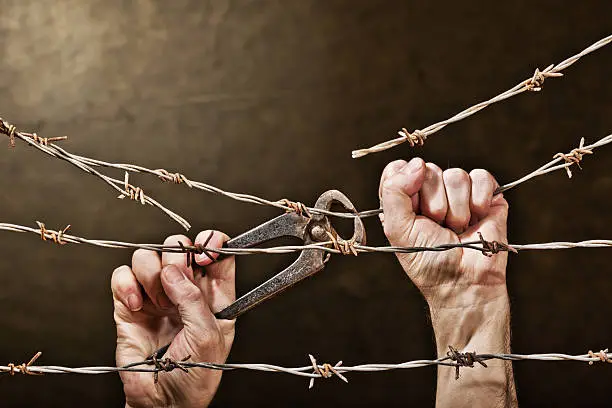 Photo of hands with barbed wire