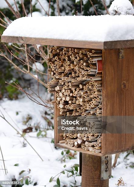 Schronienia Owadów Insektenhotelhotel - zdjęcia stockowe i więcej obrazów Owad - Owad, Zima, Hotel