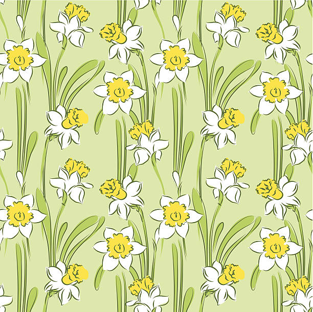 нарцисс бесшовный узор - daffodil stem yellow spring stock illustrations