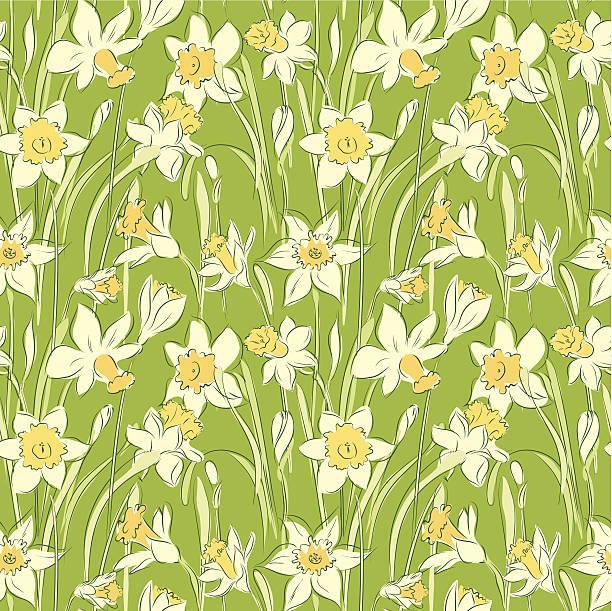 ilustraciones, imágenes clip art, dibujos animados e iconos de stock de narciso patrón sin costuras - daffodil stem yellow spring