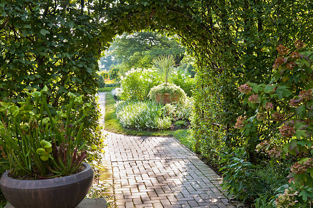 istock Arched Trellis in Lush Green Summer Garden 465421029