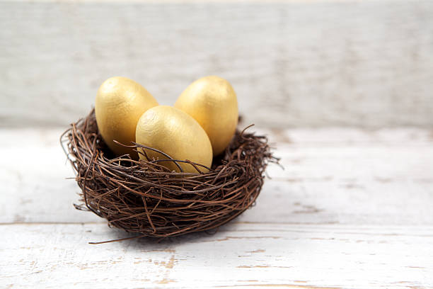 istock Easter decorations. Eggs in nests on wooden background 465424404