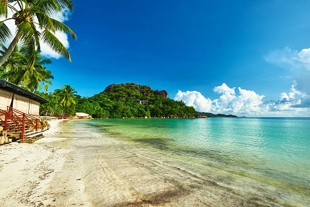 istock Beautiful beach with palm tree at Seychelles 465424652