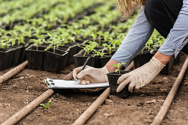 Biotechnology woman engineer Biotechnology woman engineer with a clipboard and pen examining a plant  for disease! agricultural science stock pictures, royalty-free photos & images