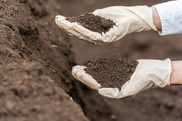 istock Holding soil . Bio food production. 465425496