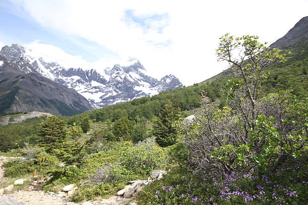 istock W Trek on Torres Del Paine Park 465425690