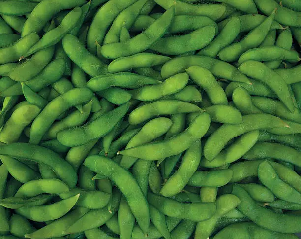 Fresh Edamame(green soybean)