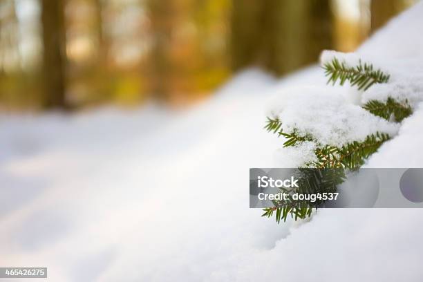 Foresta Ricoperta Di Neve Piano - Fotografie stock e altre immagini di Ambientazione esterna - Ambientazione esterna, Bosco, Composizione orizzontale