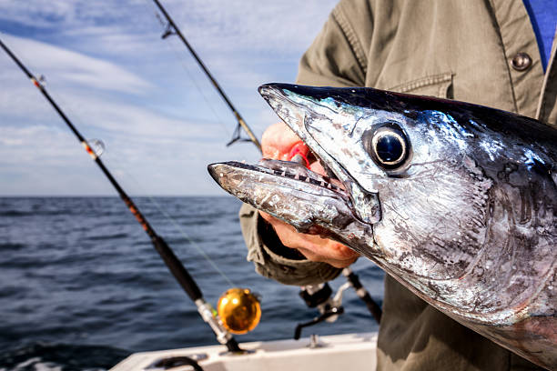 istock Caught Fish and Fishing Reel 465426317