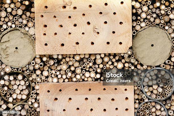 Rifugio Insetti Insektenhotelhotel - Fotografie stock e altre immagini di Albergo - Albergo, Albero, Ambientazione esterna