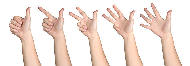 istock hand sign posture number 1-5 isolated 465427529