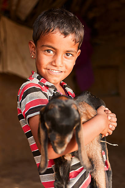 istock Young Indian boy holding a goat 465428461