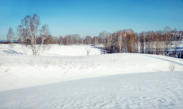 paisagem de inverno bonito com um campo nevadascomment - winter farm vibrant color shadow imagens e fotografias de stock
