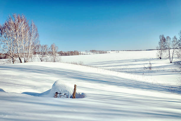 paisagem de inverno bonito com rolos de feno no campo - winter farm vibrant color shadow imagens e fotografias de stock