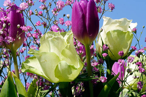 Roses,tulips and baby's breath as bouquet in a vase