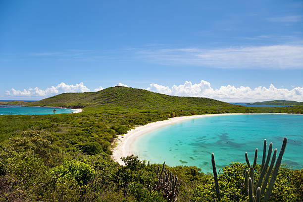 high angle shoot of Turtle Beach, Culebrita Island, Puerto Rico high angle shoot of Turtle Beach, Culebrita Island, Puerto Rico culebra island photos stock pictures, royalty-free photos & images