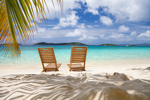 istock chairs under palm trees at a beach in St.John, USVI 465432601
