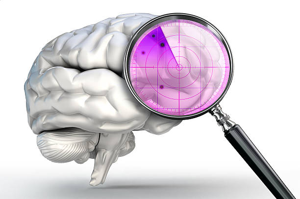scan on human brain with magnifying glass radar stock photo