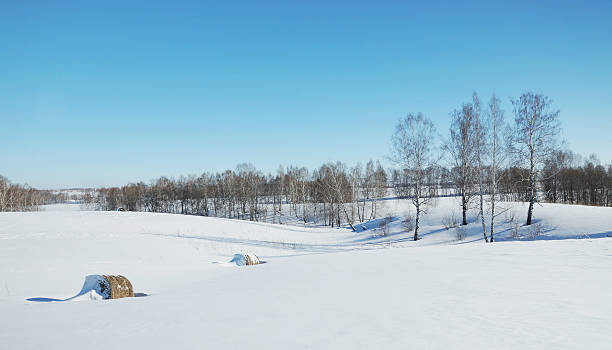 paisagem do inverno com rolos de feno no campo das neves - winter farm vibrant color shadow imagens e fotografias de stock