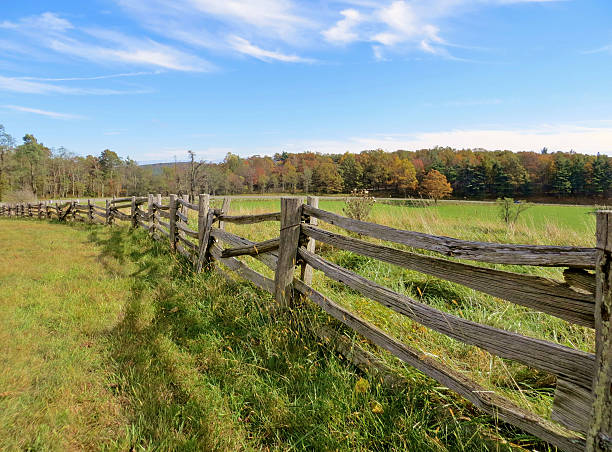istock Wooden fence 465435933
