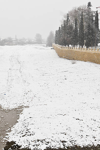 istock Trees in the winter park 465440632