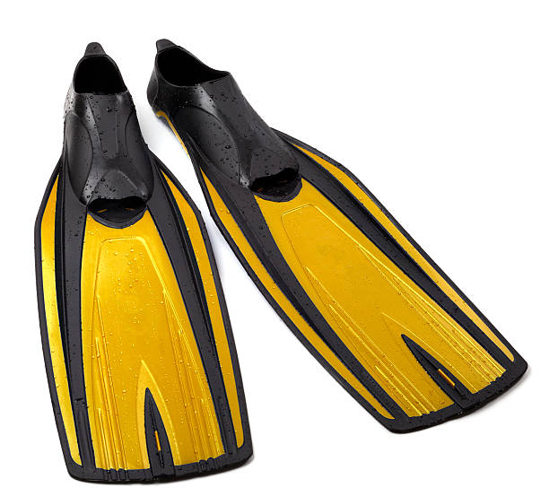 istock Swim fins on white background 465448419