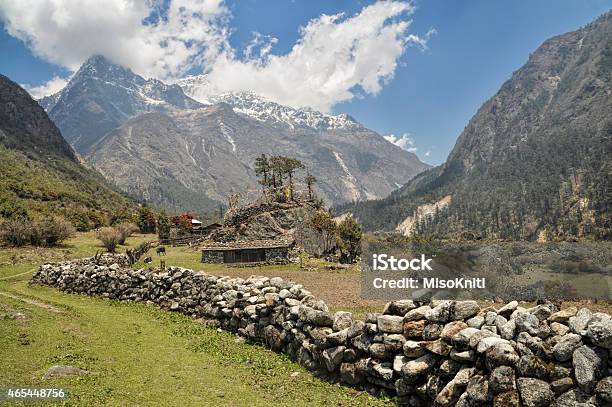 Kangchenjunga Stock Photo - Download Image Now - 2015, Agricultural Field, Animal