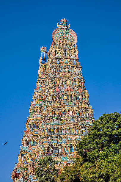 Meenakshi Amman Temple Colorful tower of Meenakshi Amman Temple in India menakshi stock pictures, royalty-free photos & images