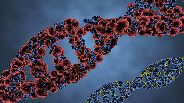istock helix of DNA 465448950