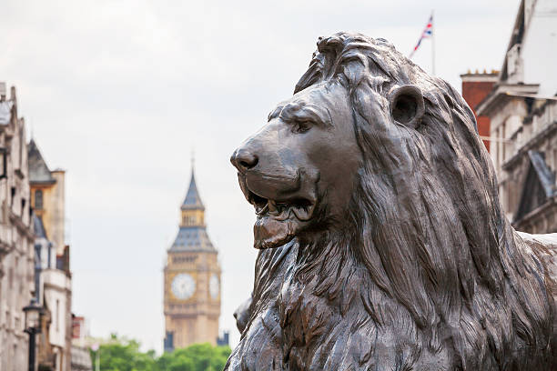 leone in trafalgar square. londra, inghilterra - lion statue london england trafalgar square foto e immagini stock