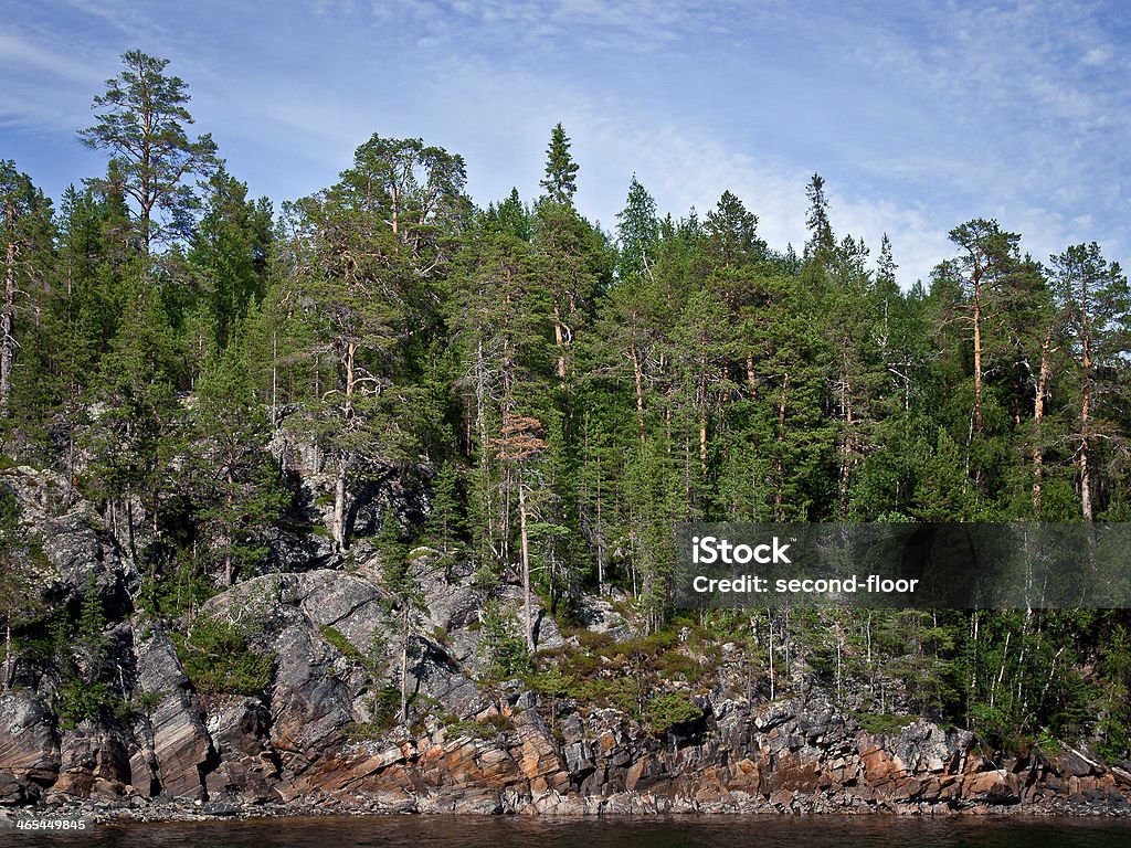 Bosque de pinos sobre la roca en Karelia - Foto de stock de Acantilado libre de derechos