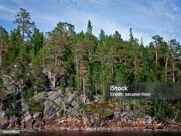 Pine Forest Sulla Roccia In Carelia - Fotografie stock e altre immagini di Acqua - Acqua, Albero, Ambientazione esterna