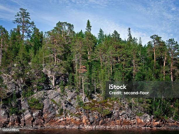 Pine Forest Na Skale W Karelia - zdjęcia stockowe i więcej obrazów Bez ludzi - Bez ludzi, Bezchmurne niebo, Brzeg wody