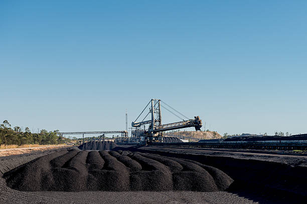 stacker reclaimer na coal zapasami - reclaimer zdjęcia i obrazy z banku zdjęć