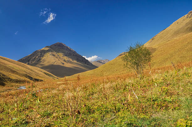 istock Ala Archa in Kyrgyzstan 465451490
