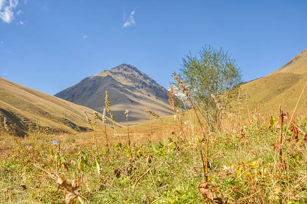 istock Grasslands in Kyrgyzstan 465451494