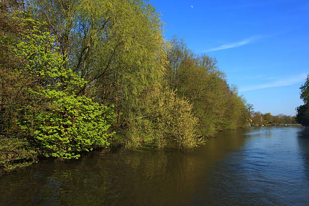 istock Canal - so much Holland 465451769