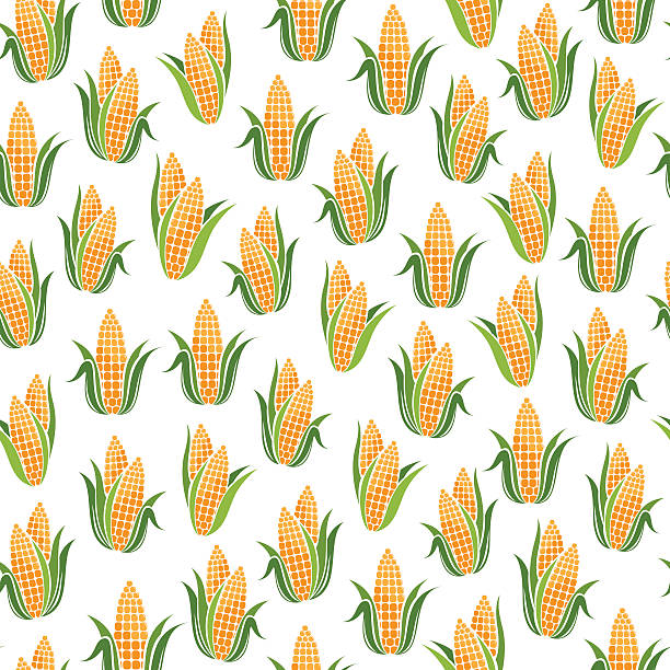Sweetcorn Pattern 20+ White Corn Vector Stock Illustrations, Royalty-Free Vector Graphics ...