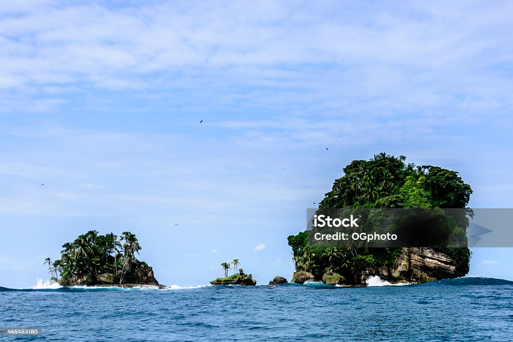 Bird Island (Isla de Pajaros) off the coast of Panama Bird Island (Isla de Pajaros) off the coast of Bocas del Toro, Panama is a nature reserve known for the number and variety of birds that inhabit the island.  It is also known as the Swan Cay Formation. Panama Stock Photo