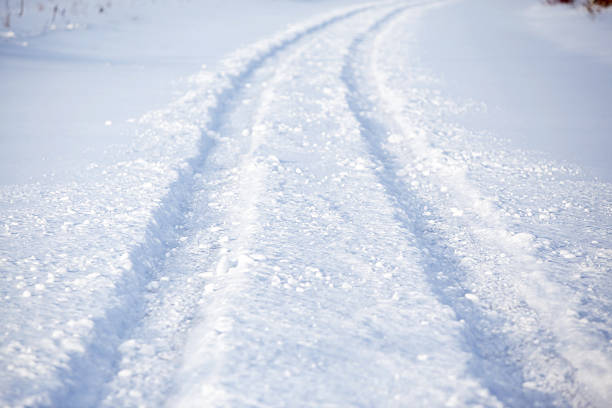 Tire tracks curve through about four inches of fresh winter snow.