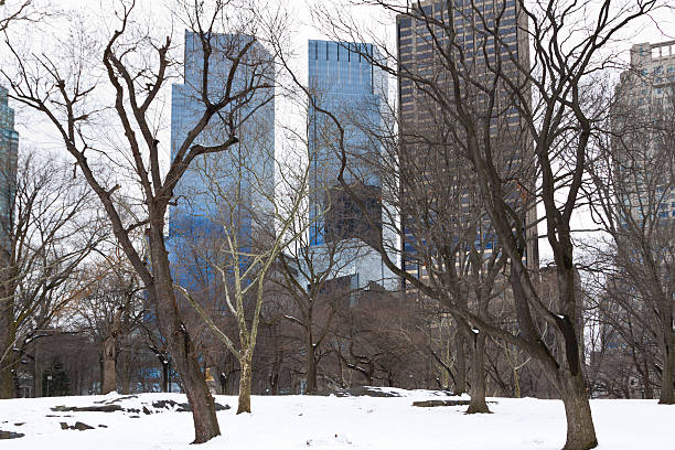 istock Central Park in winter, New York City. 465458191