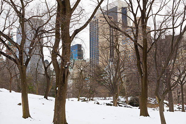 Central Park in winter, New York City.